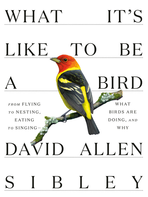 Title details for What It's Like to Be a Bird by David Allen Sibley - Wait list